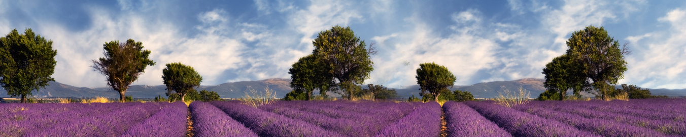 Contact Us DS Environmental - Image